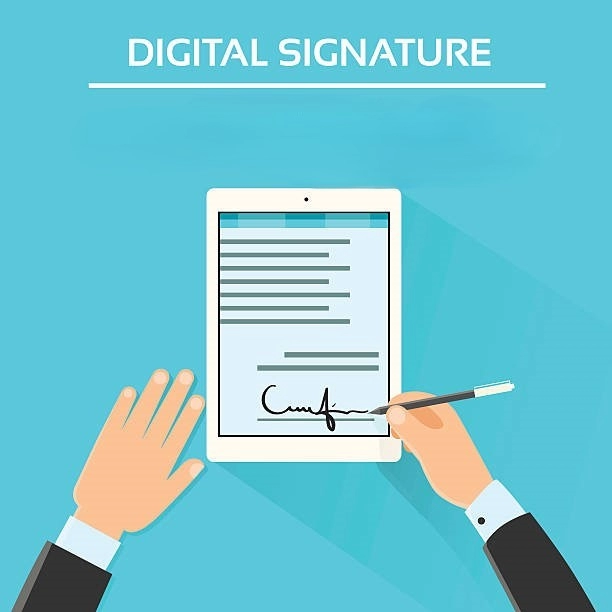 Internet Contract Employment Lawyer