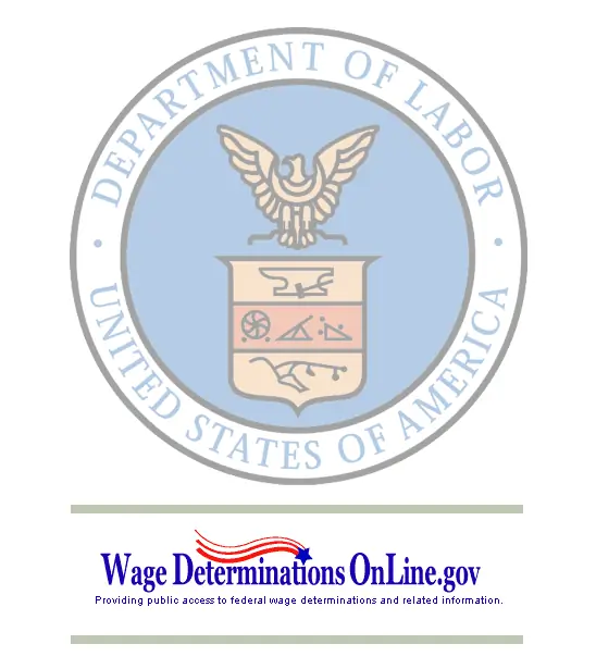 wage determinations on line